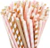 ALINK Biodegradable Paper Straws 1