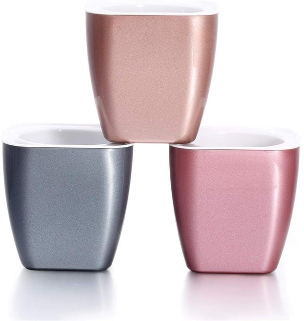 Clear Self-Watering Planters  3