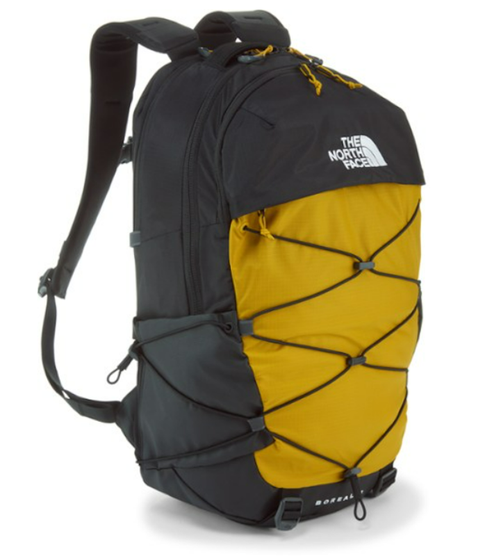 Travel Laptop Backpack 1