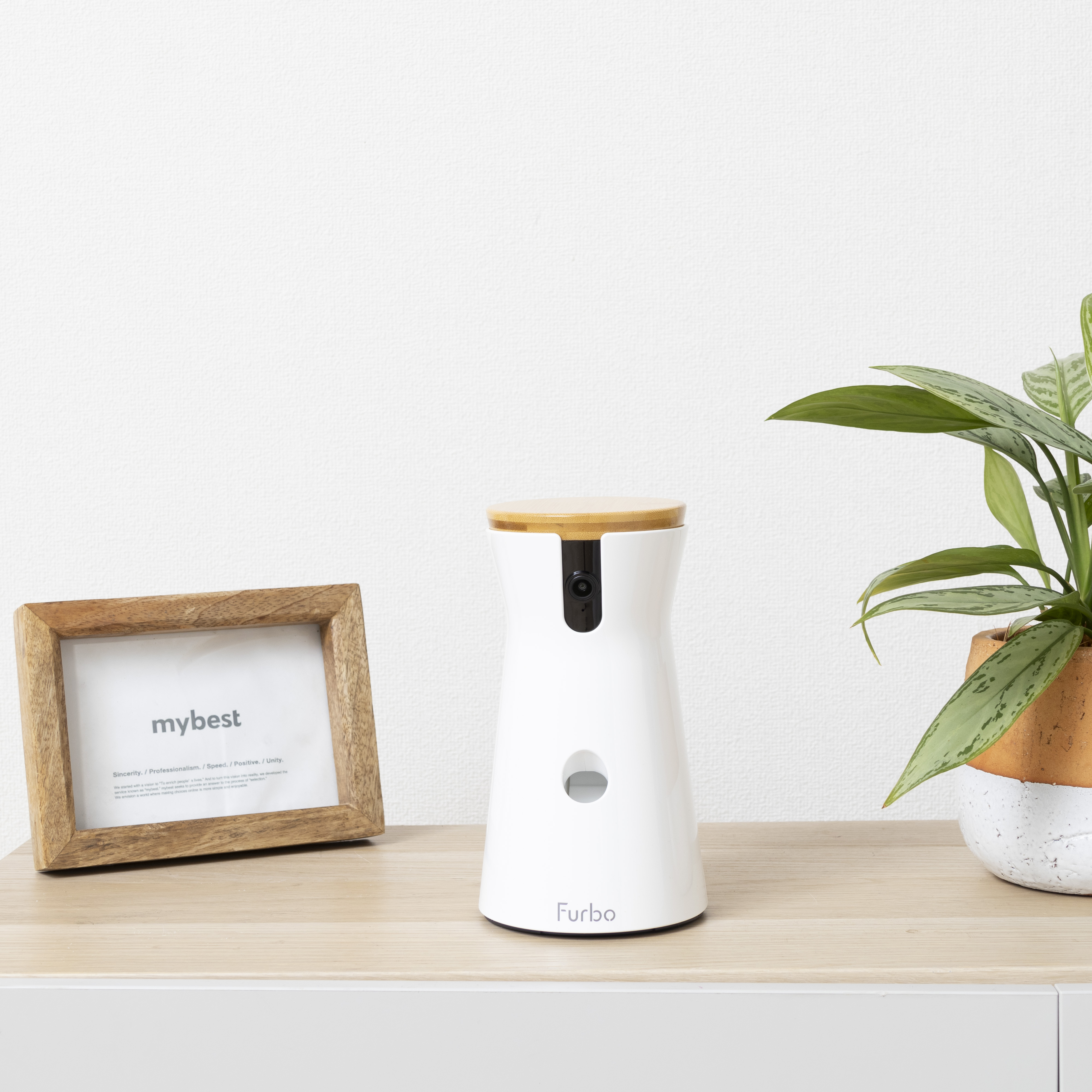 360° Dog Camera 7