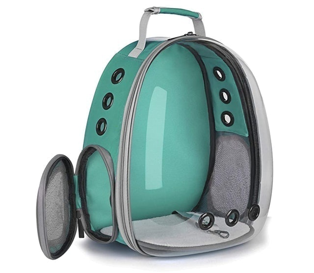 10 Best Cat Backpack Carriers in 2022 (PetAmi, Lollimeow, and More) 2