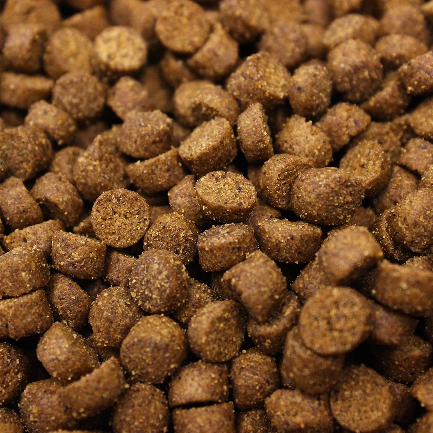 inTune® Ferret Food 2