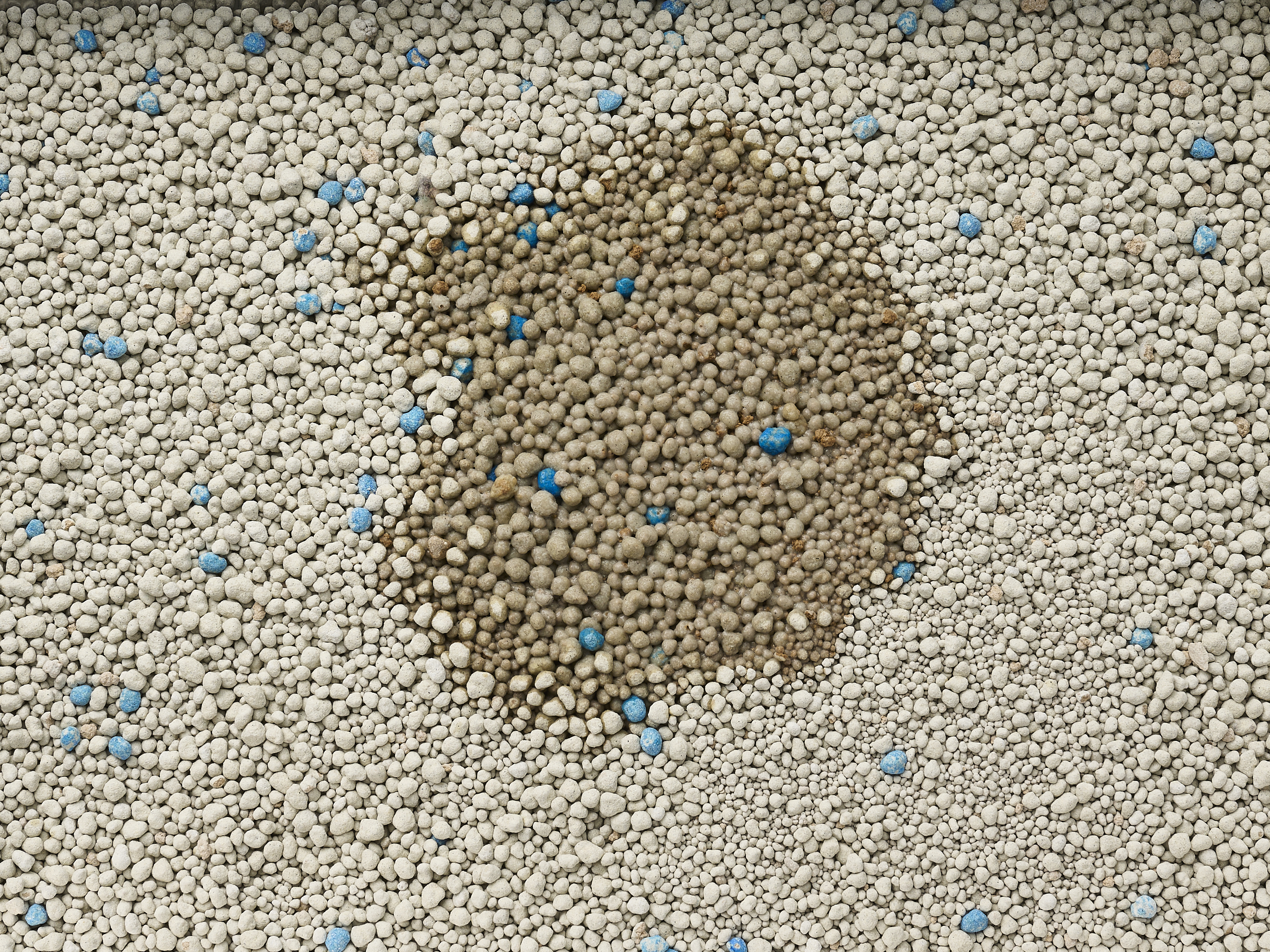 Multi-cat Clumping Litter with Glade Clear Springs 4