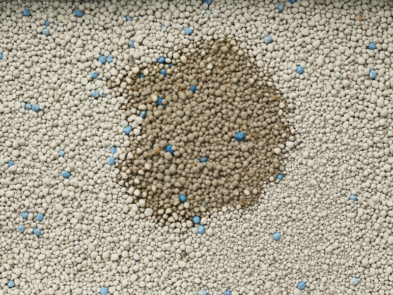 Multi-cat Clumping Litter with Glade Clear Springs 4