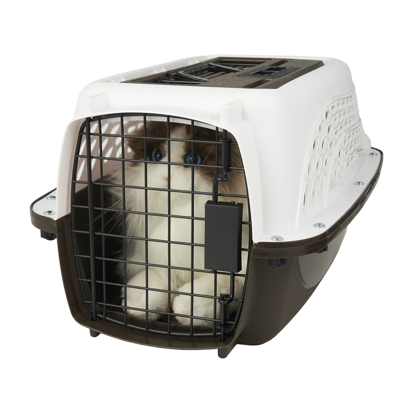 Two-Door Small Dog Kennel & Cat Kennel 5