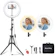 MountDog Ring Light 1
