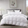 Aikoful Down Comforter 1