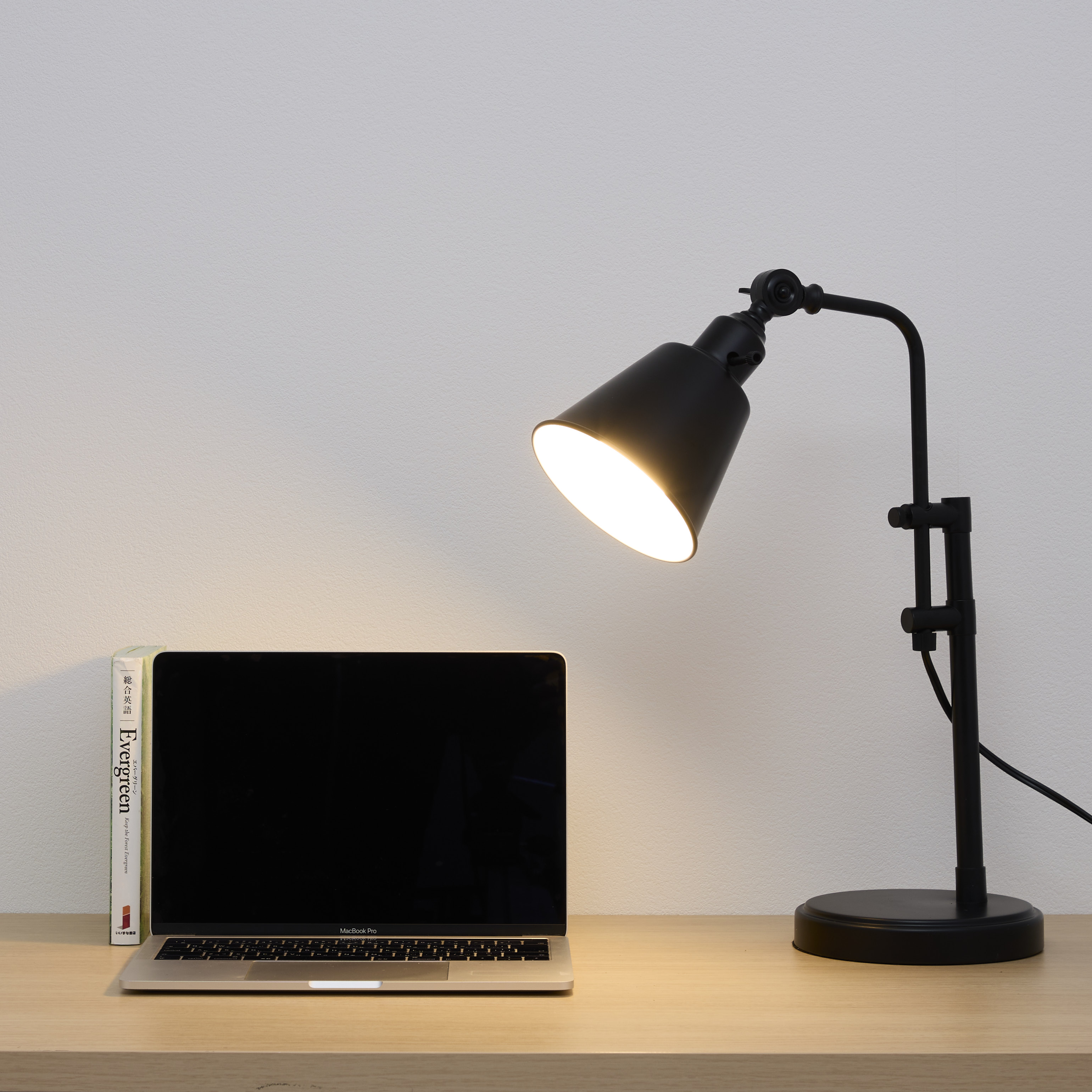 Adjustable Metal Desk Lamp 8