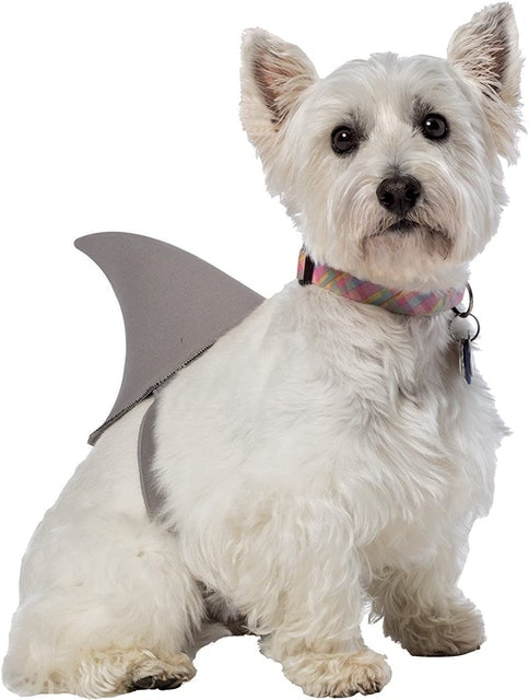  Sharknado Shark Fin Dog Costume 1