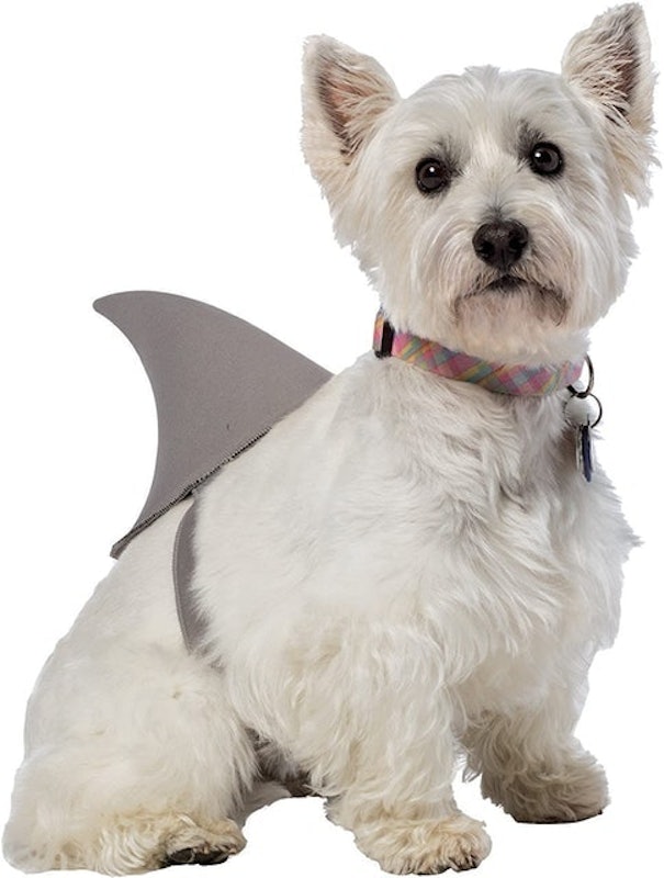 Sharknado Shark Fin Dog Costume 1