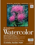 10 Best Watercolor Paper in 2022 (Artist-Reviewed) 2