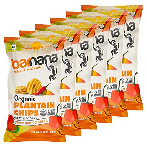 Organic Plantain Chips Spicy Mango Salsa 1