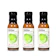Ton-Ton Ginger Japanese Dressing and Marinade 1