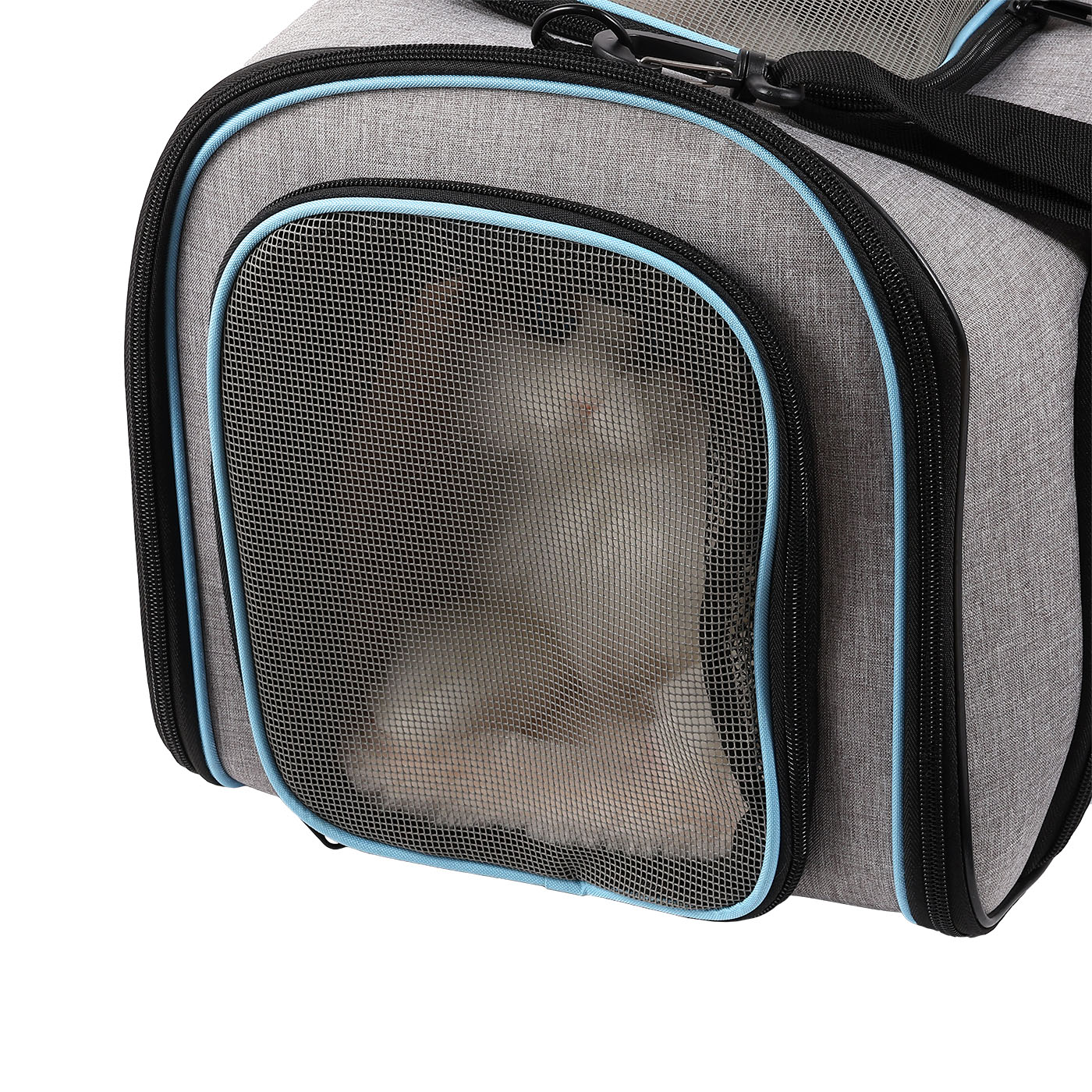 Airline Approved Pet Carrier 3