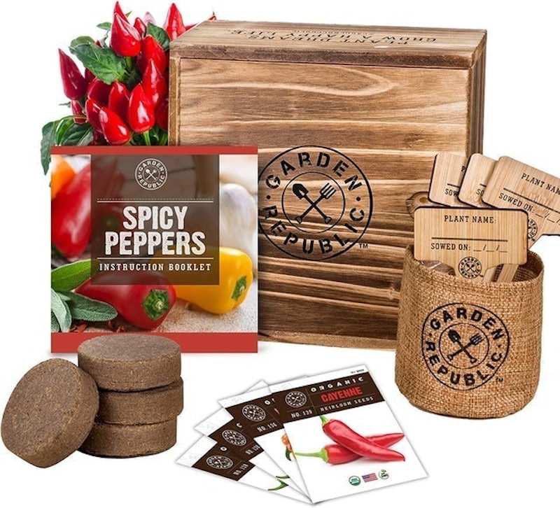 Spicy Peppers Starter Kit 1