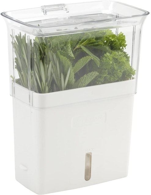 10 Best Herb Keepers in 2022 (Chef-Reviewed) 2