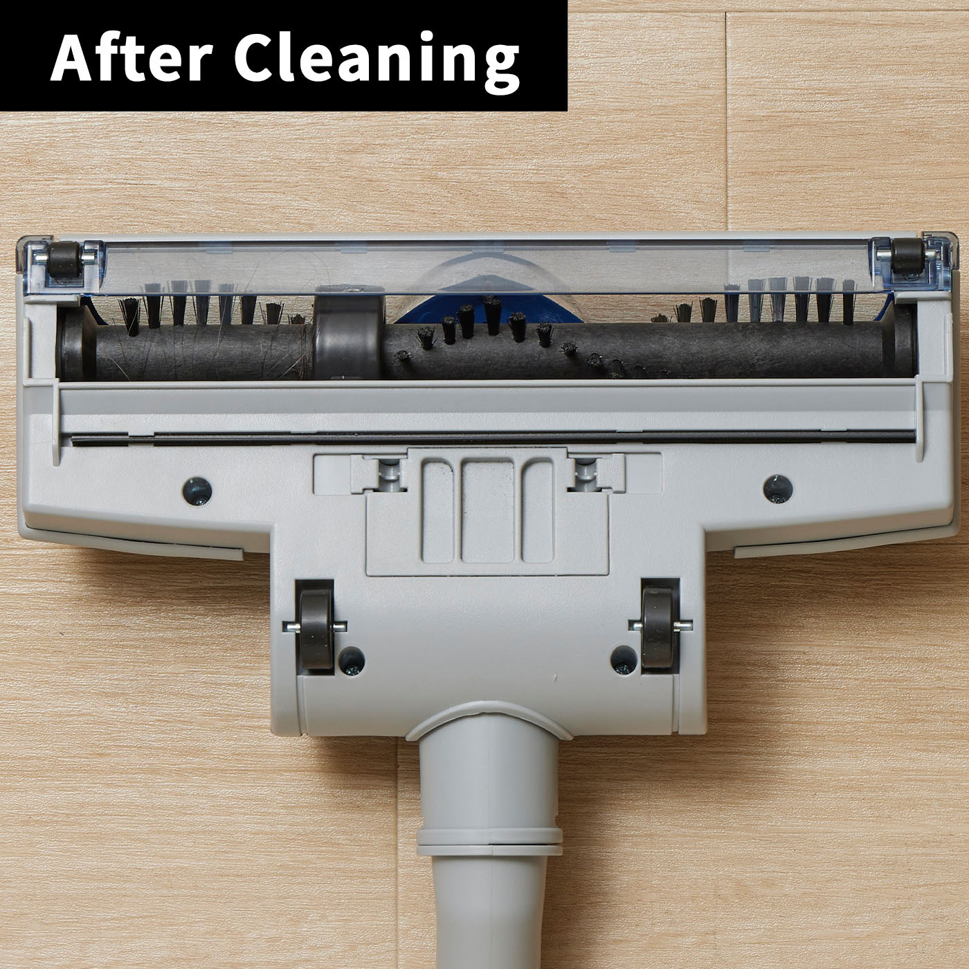 Compact Bagless Canister Vacuum 11