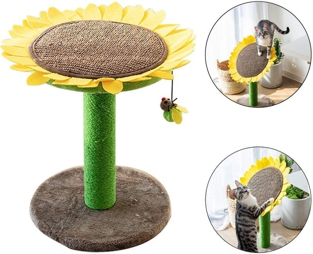 10 Best Sisal Scratching Posts in 2022 (SmartyKat, PetFusion, and More) 2