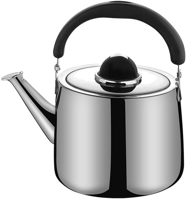  Stainless Steel Stovetop Kettle 1