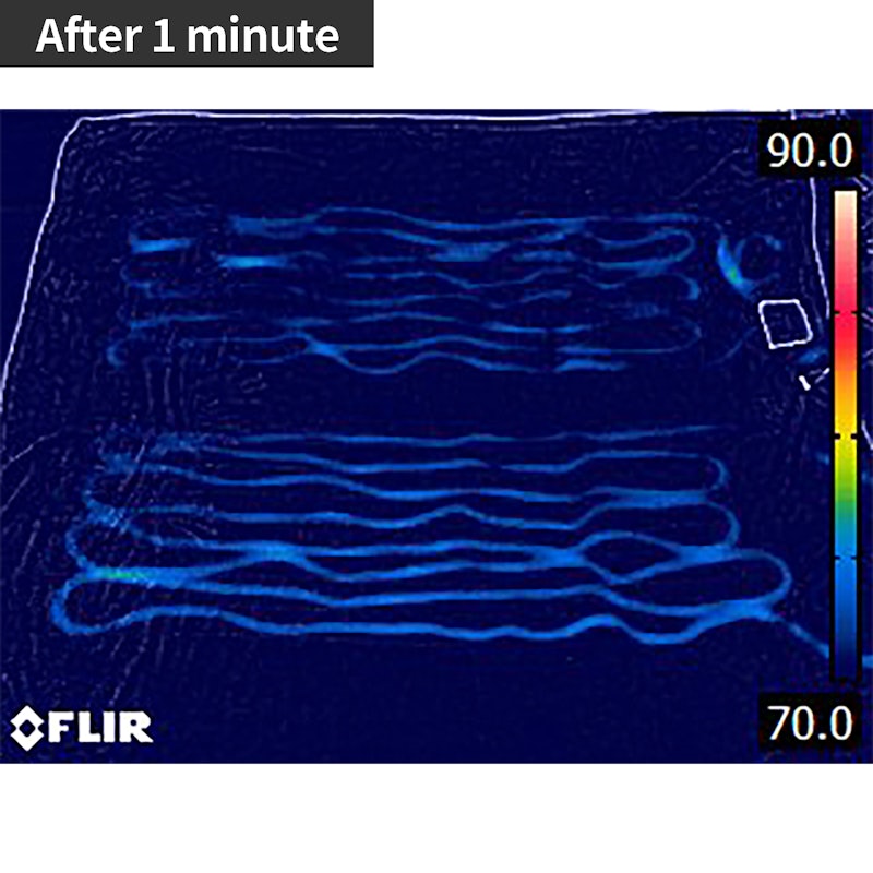 LoftTec Wi-Fi Connected Heated Blanket 5