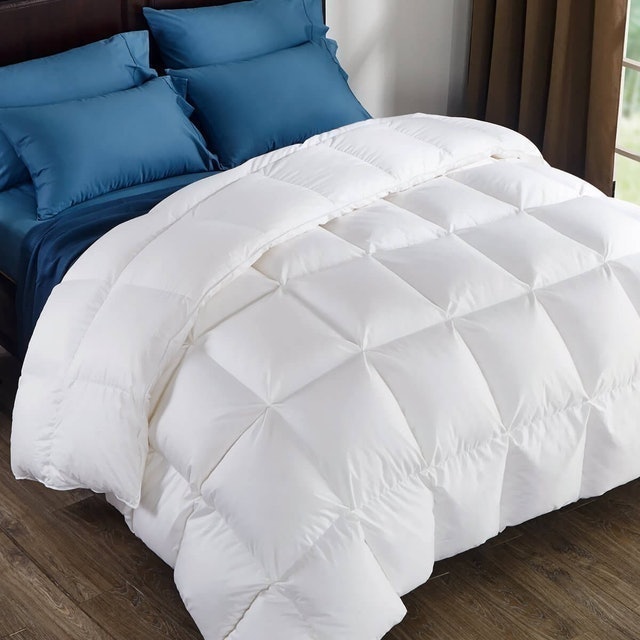 10 Best Down Comforters in 2022 (Egyptian Bedding, Eddie Bauer, and More) 1