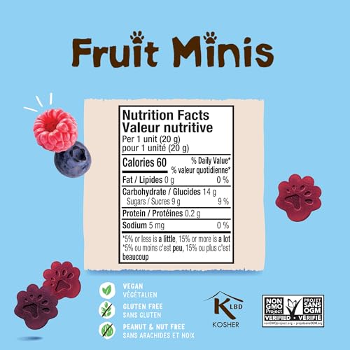 Delicious Raspberry & Blueberry Fruit Minis 2