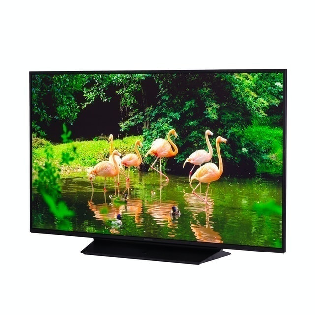 VIERA TH-49JX850 1