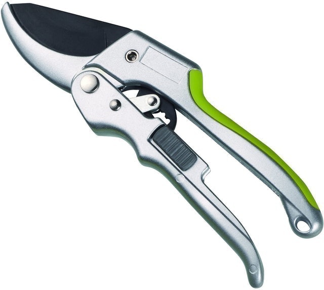10 Best Pruning Shears in 2022 (Master Gardener-Reviewed) 4