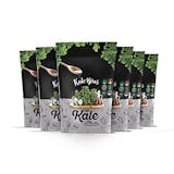 10 Best Kale Chip Brands of 2026 (Brad's, Rhythm, and More) 3