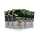 Kale Bros Kale Chips, The Classic 1