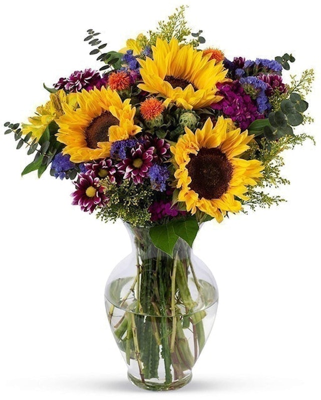Flowering Fields 1
