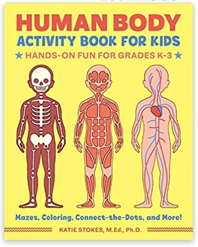 Human Body Activity Book for Kids 1