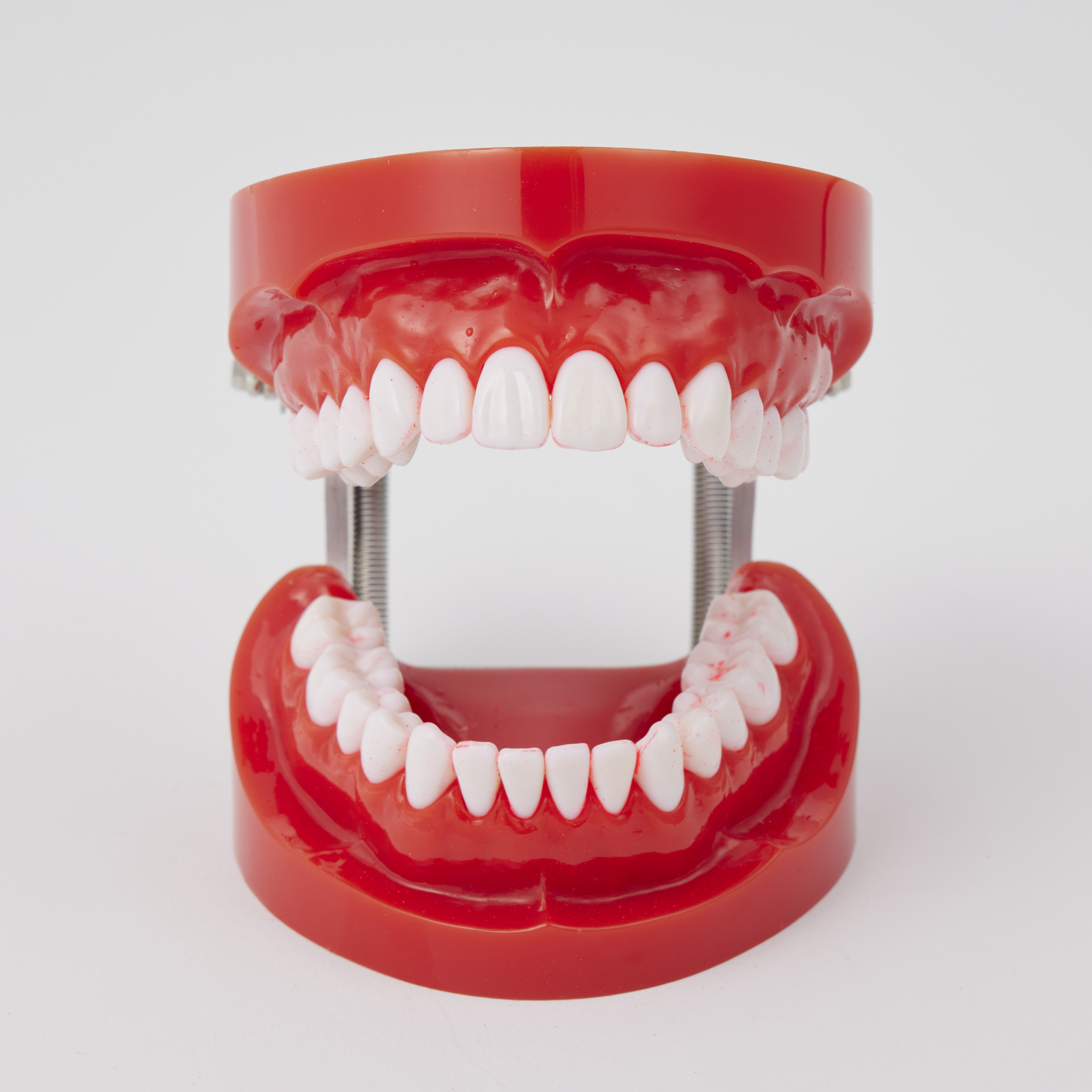 Bitvae R2 Rotating Toothbrush 8