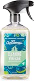 8 Best Eco-Friendly All-Purpose Cleaners in 2022 (Environmental Scientist-Reviewed) 3