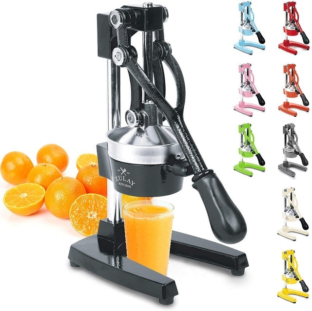 10 Best Citrus Juicers in 2022 (Chef-Reviewed) 5