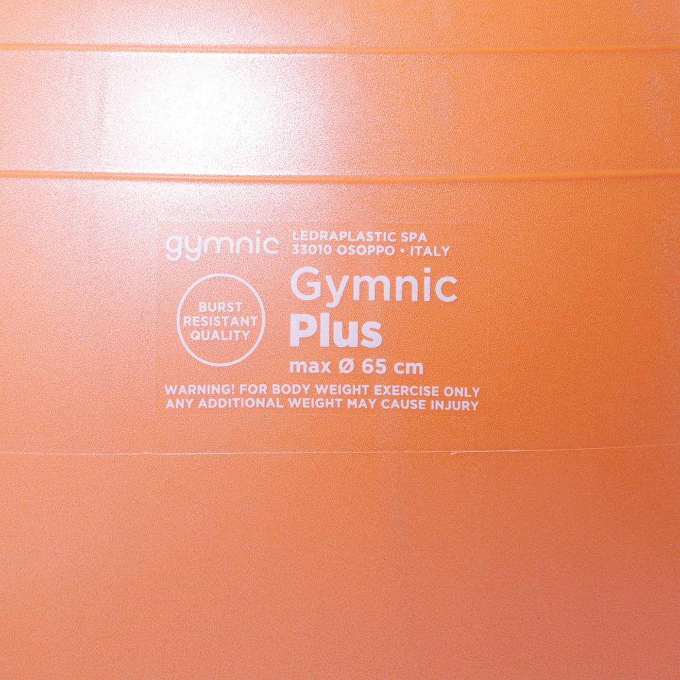 Gymnic Plus 2