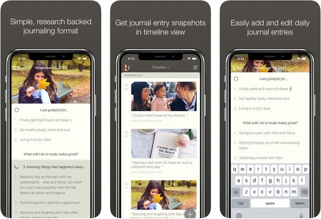 10 Best Diary Apps in 2022 (1SE, Penzu, and More) 3