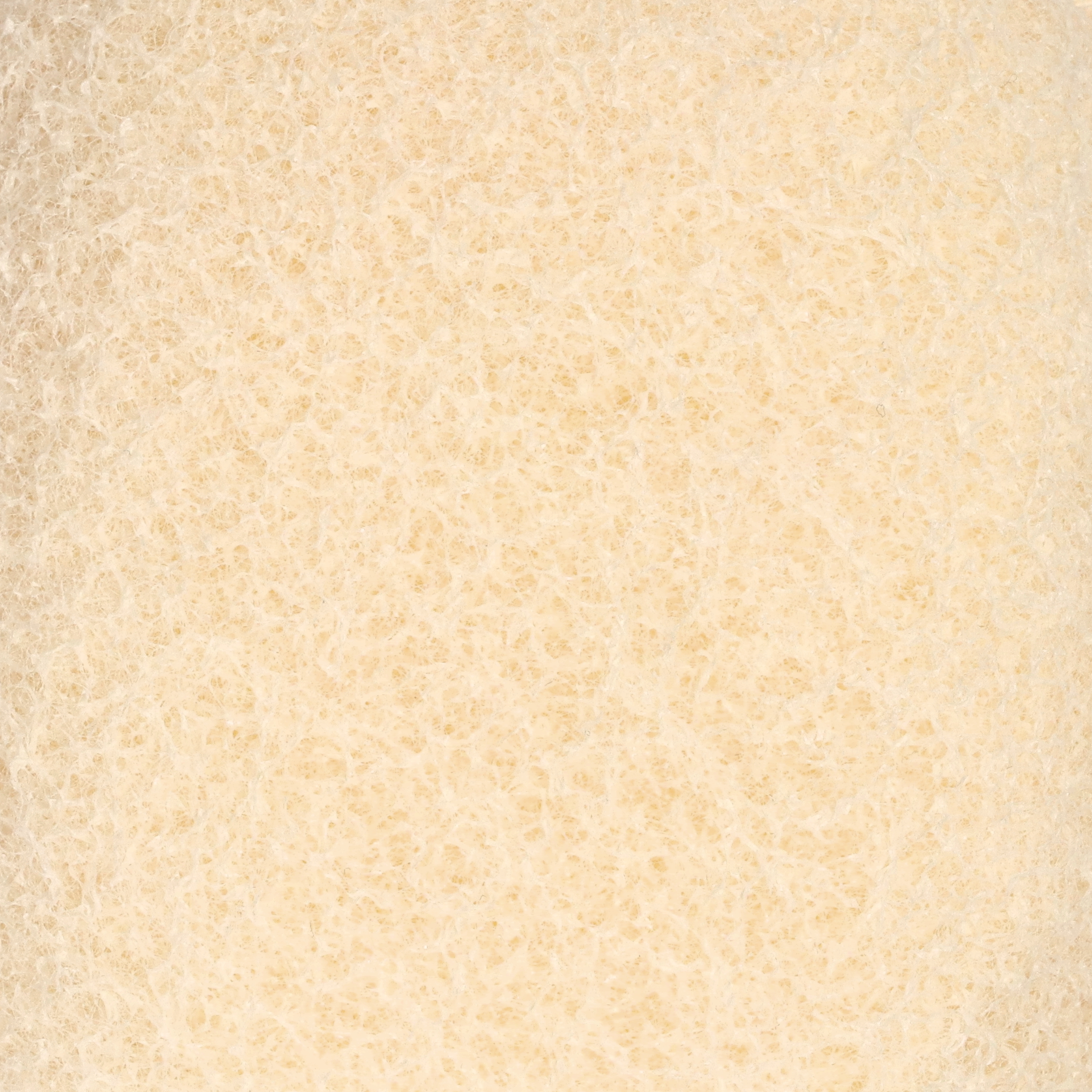 Skin Sponge 2