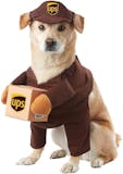 10 Best Dog Halloween Costumes in 2022 (Rubie's, Animal Planet, and More) 2