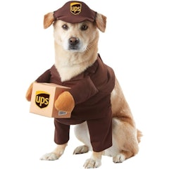 Pet Ups Pal