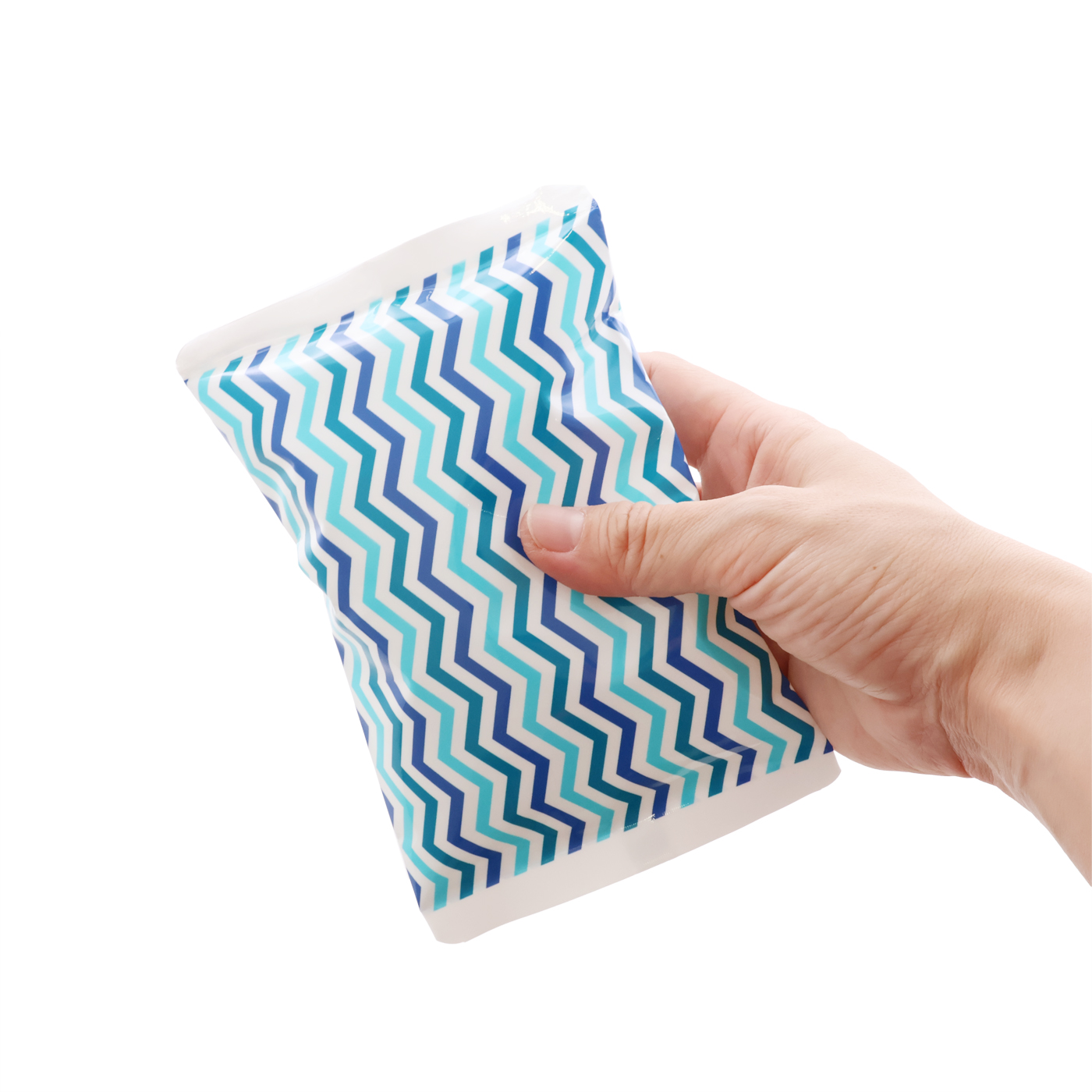 Ice Packs 10