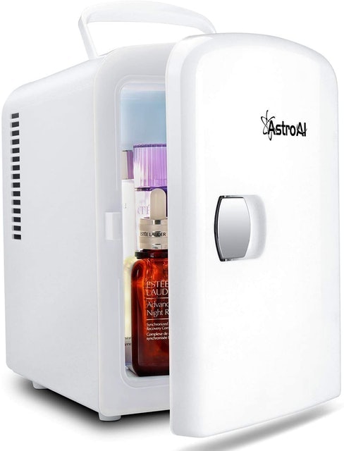 Portable AC/DC Power Cooler and Warmer 1