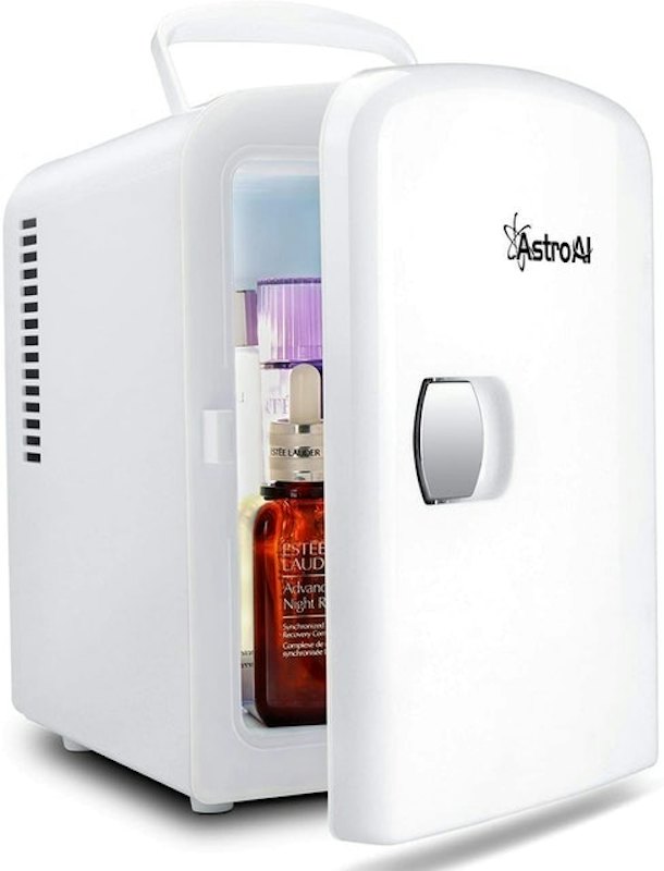 Portable AC/DC Power Cooler and Warmer 1