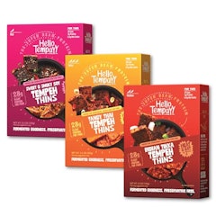 Tempeh Thins