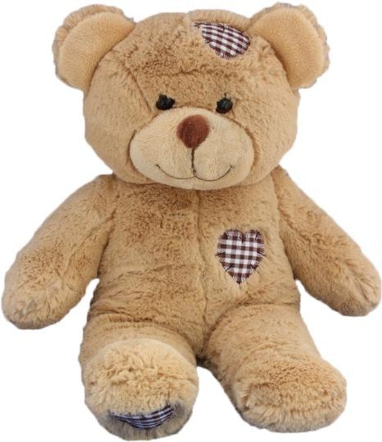Comfort Bears Talking Teddy Bear 1
