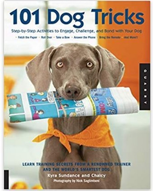 10 Best Dog Training Books in 2022 (Zak George, Cesar Millan, and More) 4