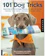 Kyra Sundance, Chalcy 101 Dog Tricks 1