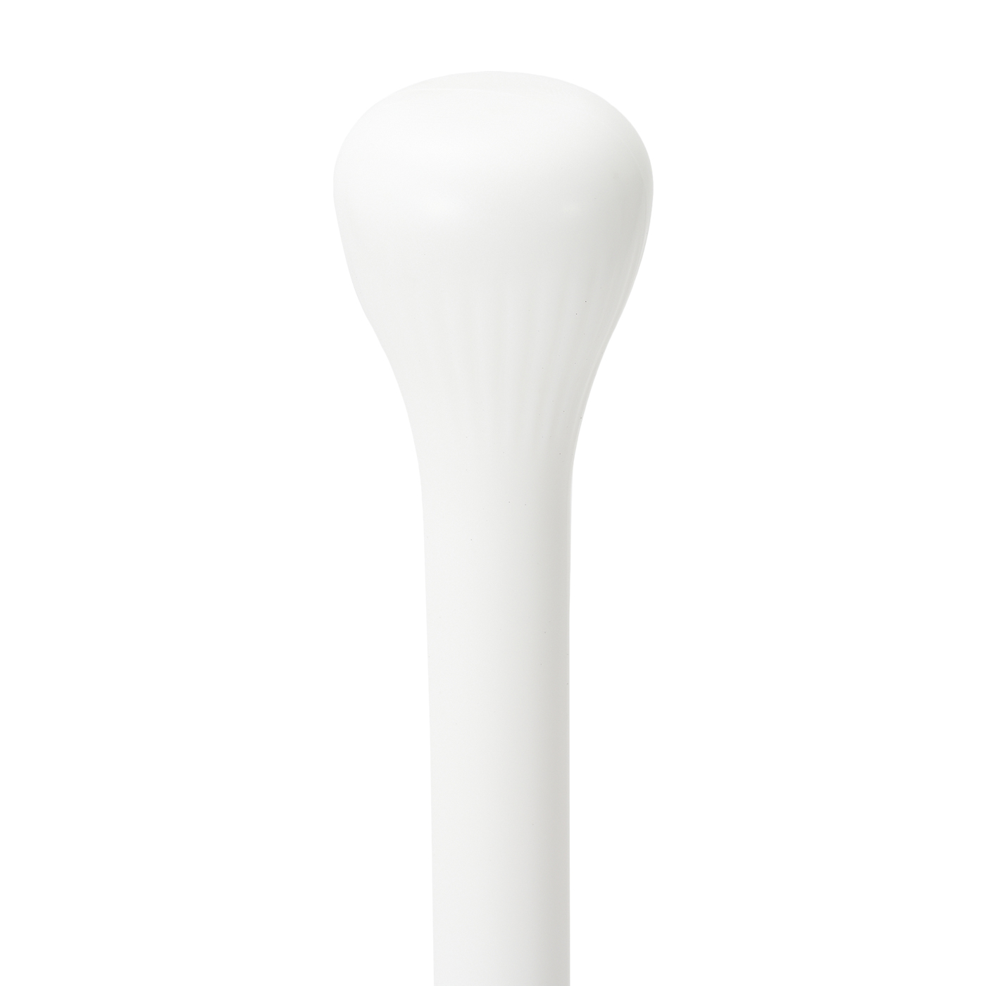 Toilet Plunger With Caddy 4
