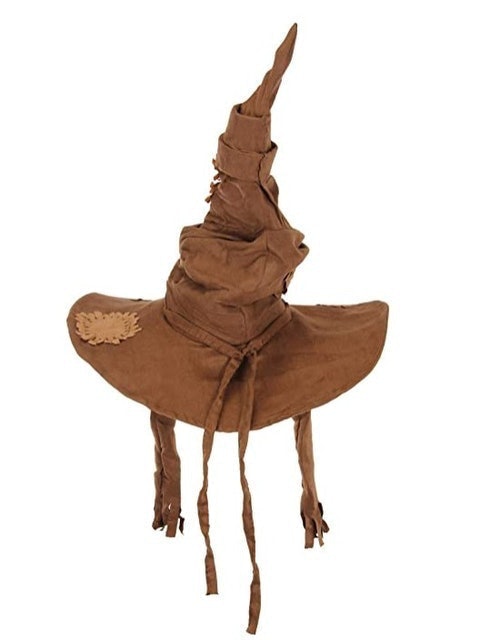 Harry Potter Sorting Hat Costume 1