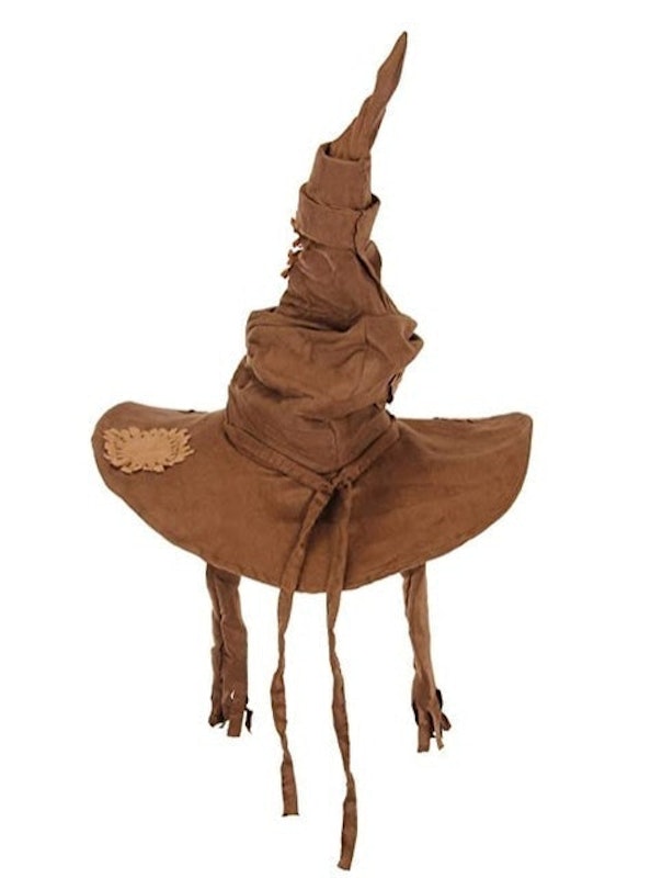 Harry Potter Sorting Hat Costume 1